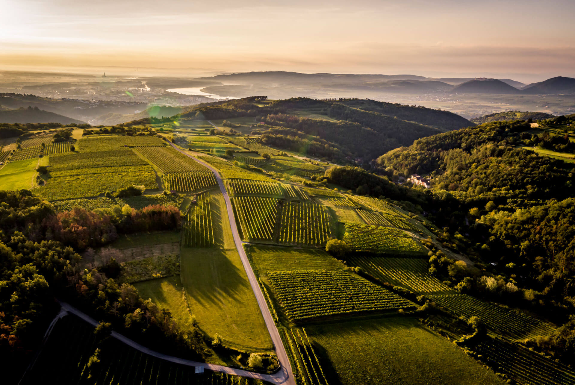 Weingut Rieder
